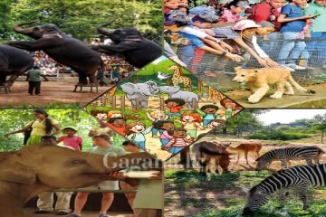 සත්තු වත්ත බලන්න යන්න හිටිය ඔයාටයි මේ ආරංචිය ..