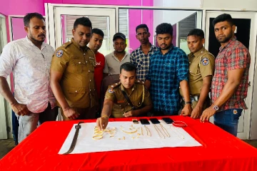 யாழில் நகைகளை கொள்ளையடித்த கும்பல்(Video)