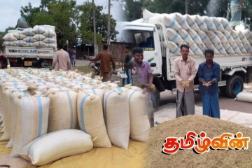 மட்டக்களப்பில் பெரும்போக நெல் அறுவடை பாரிய நட்டம்: விவசாயிகள் ஆதங்கம்