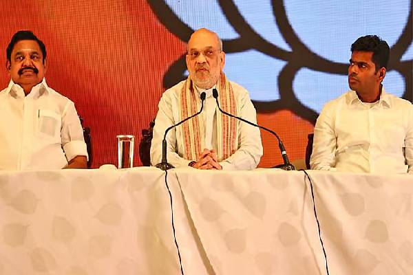 விஜய், சீமானுக்கு அழைப்பு விடுத்த இபிஎஸ் - பரபரப்பாகும் அரசியல் களம் | Edappadi Palanisamy About Seeman Vijay Alliance