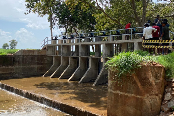 உலக வங்கியின் 20 மில்லியன் ரூபா நிதி உதவி: விளாப்புகுளம் அணைக்கட்டு புனரமைப்பு | 20 Million Financial Assistance From World Bank