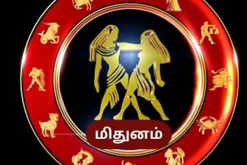 நீங்கள் மிதுன ராசியா? உங்களைப் பற்றி மற்றவர்கள் பெருமைப்படும் சிறந்த குணம் இதுதான்