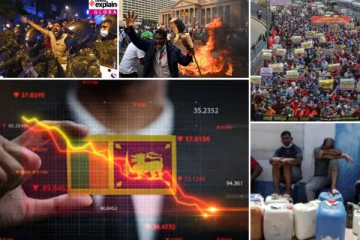 ඉන්දියාව මෙරට තත්ත්වය ගැන දැඩි කණස්සල්ලෙන්