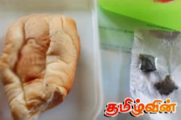 பாடசாலைக்கு கொண்டு வரப்பட்ட உணவில் கஞ்சா பொதிகள்!