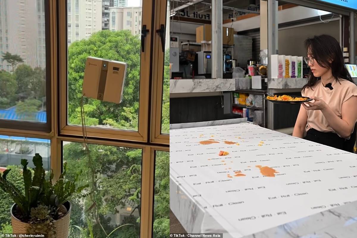 Reason behind Singapore cleanes country in the world Reason behind Singapore cleanes country in the world