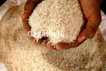 සහල් ගැන ඇමති කියයි - විශේෂ තීරණයක් මෙන්න.