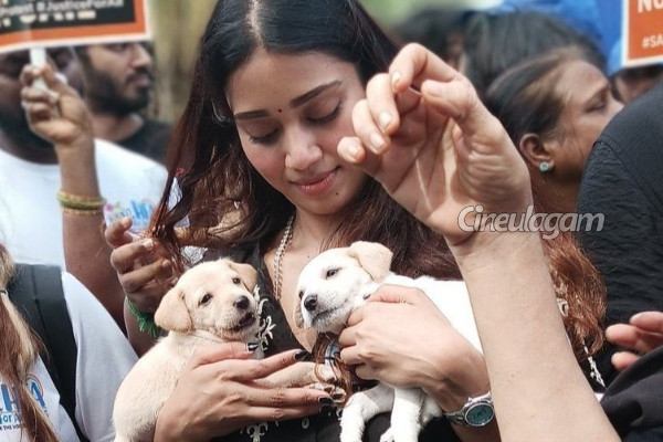 தெரு நாய் கடிச்சா அதை பெருசு பண்ணாதீங்க.. நிவேதா பெத்துராஜை வறுத்தெடுக்கும் நெட்டிசன்கள் | Nivetha Pethuraj Gets Trolled For Supporting Dogs தெரு நாய் கடிச்சா அதை பெருசு பண்ணாதீங்க.. நிவேதா பெத்துராஜை வறுத்தெடுக்கும் நெட்டிசன்கள் | Nivetha Pethuraj Gets Trolled For Supporting Dogs