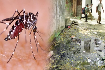 நுளம்பு பரவும் வகையில் சுற்றாடலை வைத்திருந்த ஏழுபேருக்கு நீதிமன்றம் வழங்கியுள்ள தீர்ப்பு