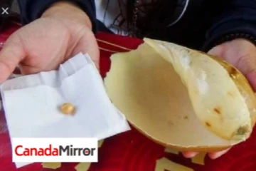 உணவுக்காக நத்தை வாங்கியவருக்கு பேரதிஸ்டம்; மகிழ்ச்சியில் திக்கு முக்காடிய பெண்