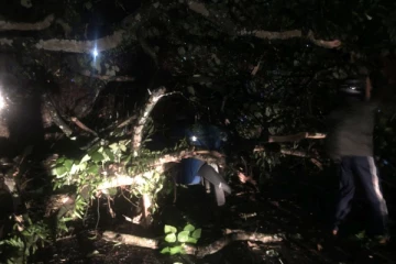 ஹட்டன் - கொழும்பு பிரதான வீதியில் இடம்பெற்ற அசம்பாவிதம்: 4 பேருக்கு நேர்ந்த நிலை