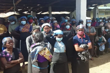 தொழிற்சங்கங்களை  புறந்தள்ளி தோட்டத்தை ஸ்தம்பிக்க செய்த  பெருந்தோட்ட தொழிலாளர்கள்