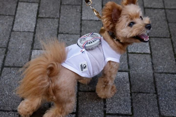 ஜப்பானில் கண்டுபிடிக்கப்பட்ட புதிய வகை ஆடை!