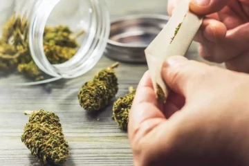 கஞ்சாவை சட்டப்பூர்வமாக்க ஜேர்மனி திட்டம்... நிறைவேறுமா?