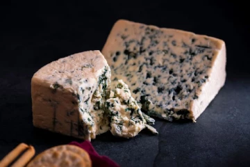 உலகின் மிக விலையுயர்ந்த சீஸ் - எந்த விலங்கின் பாலில் ரெடியாகுது தெரியுமா?