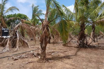 இலங்கையில் நிலவும் கடும் வறட்சியால் தமிழர் பகுதி ஒன்றில் ஏற்பட்டுள்ள நிலை!