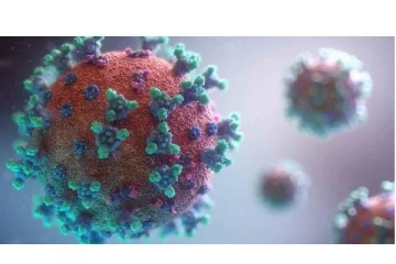 இந்தியாவில் ஆயிரத்தைக் கடந்தது ஒமைக்ரான் - மத்திய, மாநில அரசுகள் அதிர்ச்சி