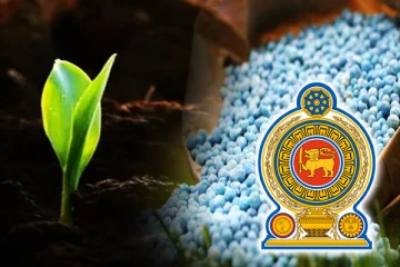 உரத்தின் விலையை குறைக்க தீர்மானம்