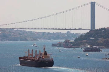 உக்ரைனில் இருந்து உணவு தானியங்கள் வெளியேறும்... ரஷ்யாவை மிரள வைத்த மூன்று நாடுகள்