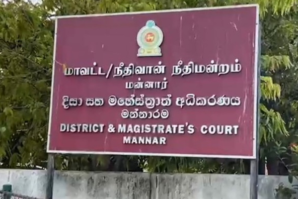 மன்னார் இரட்டை படுகொலை! 20 பேரை விளக்கமறியல் வைக்க உத்தரவு | Mannar Nochikulam Double Massacre