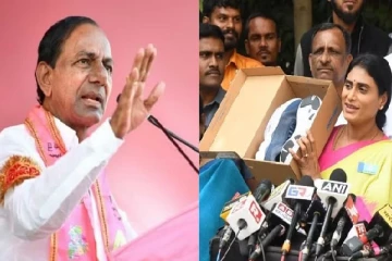 தெலங்கானா அரசியல் : சந்திரசேகராவை எதிர்க்கும் ஜெகன்மோகனின் தங்கை வெற்றி யாருக்கு ?