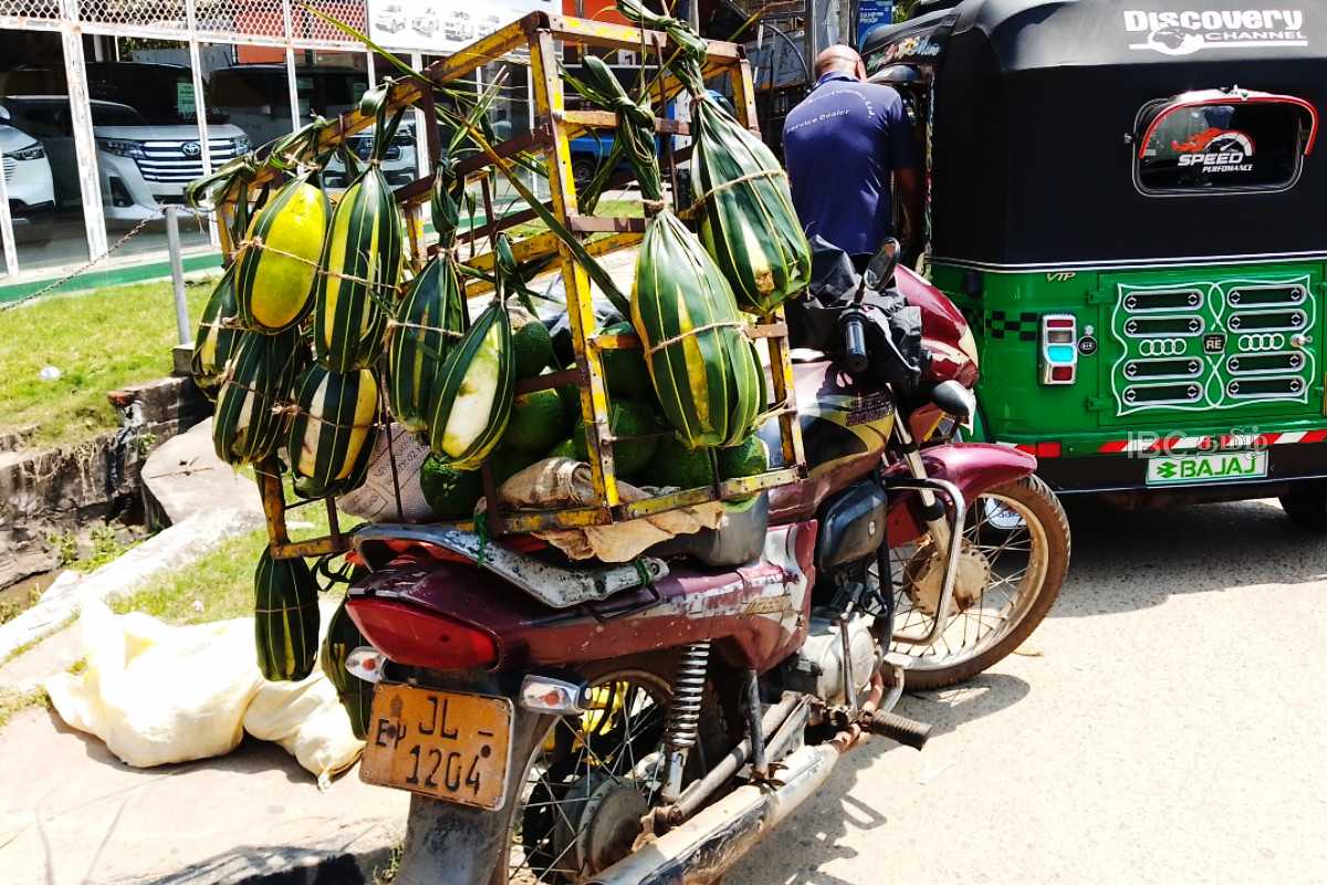 சூட்டை தணிக்கும் வெள்ளரிப்பழம்! விற்பனை வீதம் அமோகம் | Cucumber To Relieve Extreme Heat