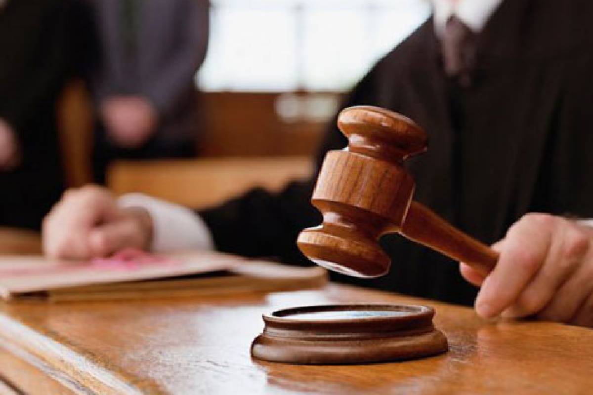 கௌதாரி முனை பகுதியில் கடலட்டை பிடித்த 10 பேருக்கு நீதிமன்றம் பிறப்பித்துள்ள உத்தரவு | 10 People Fined Catching Sea Bass Without A Permit