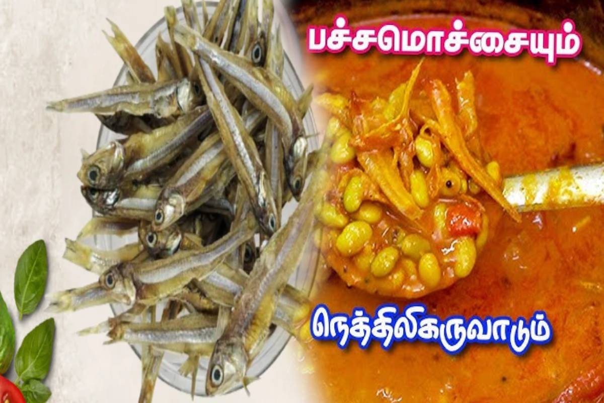 பார்த்தாலே பசி எடுக்கும் மொச்சைப் பருப்பு கருவாட்டு குழம்பு : இப்படி செய்தா கொஞ்சமும் மிஞ்சாது! | Tasty And Healthy Mocha Karuvadu Kulambu Recipe பார்த்தாலே பசி எடுக்கும் மொச்சைப் பருப்பு கருவாட்டு குழம்பு : இப்படி செய்தா கொஞ்சமும் மிஞ்சாது! | Tasty And Healthy Mocha Karuvadu Kulambu Recipe