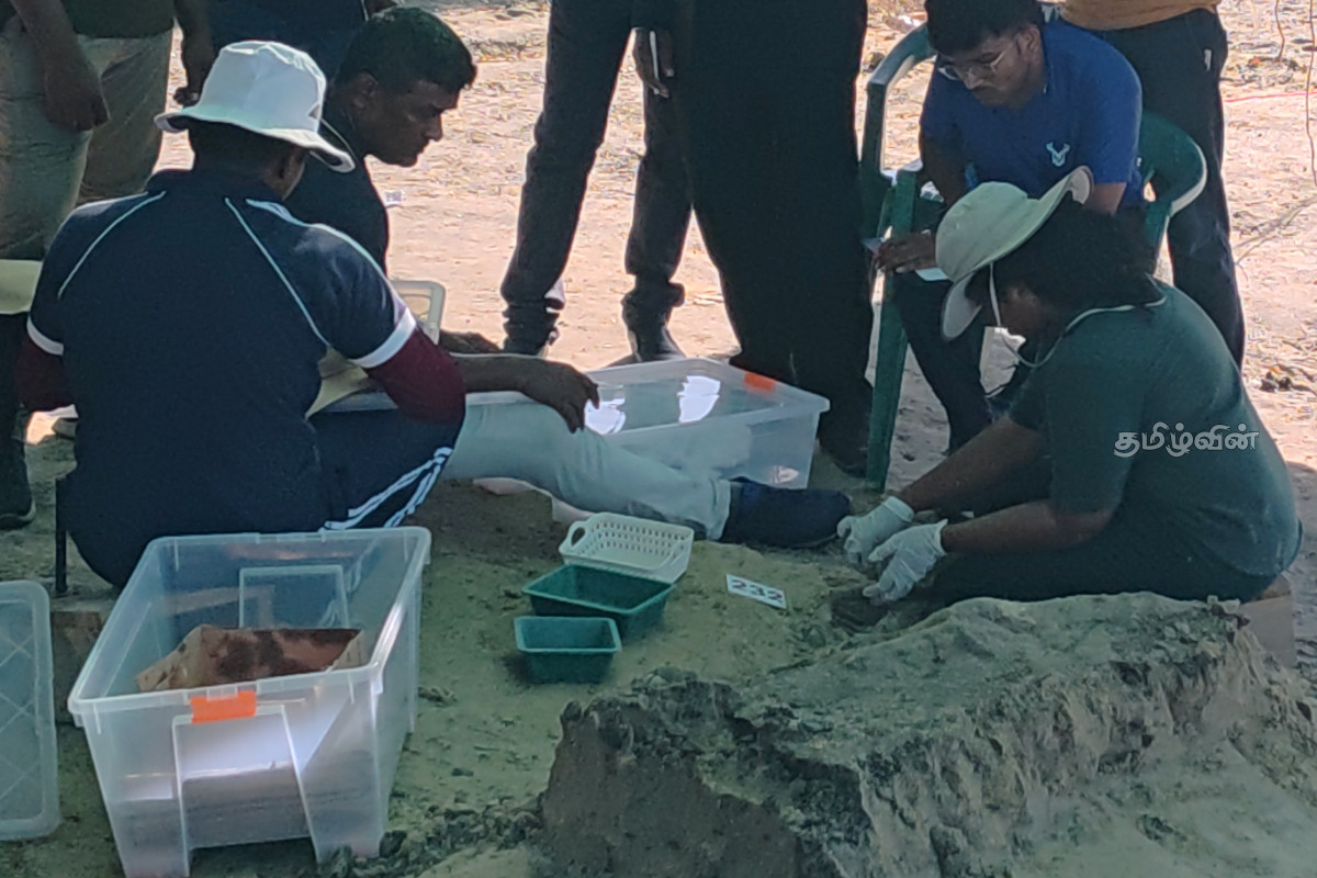 செம்மணி அகழ்வு பணி தீவிரம் - 240 என்புத் தொகுதிகள் மீட்பு | Red Sand Excavation Work In Progress