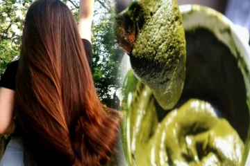 தலைமுடி வளர்ச்சியை இரு மடங்காக்கும் அந்தவொரு இலை.. பயன்படுத்துவது எப்படி?