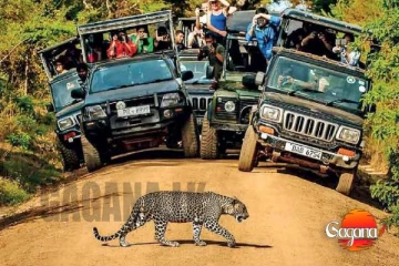 යාල යන්න ඉන්න අයට විශේෂ දැනුම්දීමක්