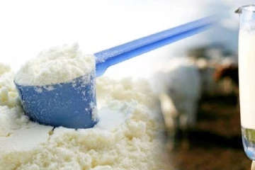 பால்மா தட்டுப்பாட்டு குறித்து யாழ்.வணிகர் கழக தலைவர் வெளியிட்ட தகவல்