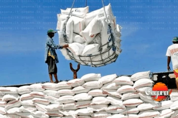 සහල් හිඟය ඇත්ත - රටින් හාල් ගෙන්න රජය කැමතිත් නැහැ - නියෝජ්‍ය ඇමති