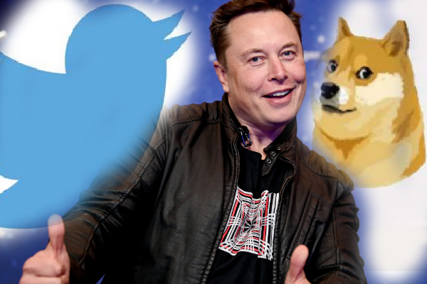 எலான் மஸ்க் எடுத்த திடீர் முடிவில் மாற்றம்! | A Change Elon Musk S Sudden Decision Twitter Logo