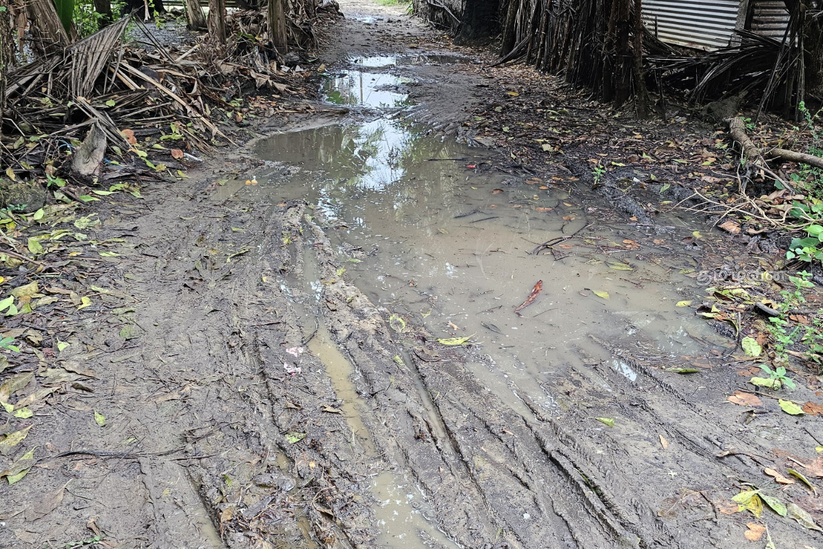 யாழில் வீதியை புனரமைக்க தயங்கும் மானிப்பாய் பிரதேச சபை! பொதுமக்கள் விடுத்துள்ள கோரிக்கை | Manipay Pradeshiya Sabha Reluctant Road In Jaffna