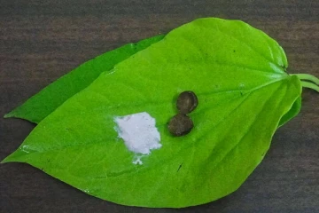 வெற்றிலை உண்போருக்கு அதிர்ச்சியளிக்கும் வகையில் வெளியான தகவல்