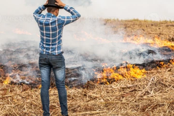 வயலில் வைக்கோலுக்கு தீவைத்தவர் உயிரிழப்பு