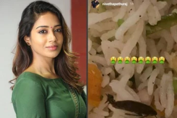பணம் கொடுத்து வாங்கிய உணவில் இருந்த கரப்பான் பூச்சி! பிரபல நடிகை நிவேதா வெளியிட்ட அதிர்ச்சி புகைப்படம்