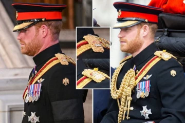 இராணுவ சீருடையில் அவமானப்படுத்தப்பட்ட இளவரசர் ஹரி; மன வேதனையுடன் ராணிக்கு இறுதி மரியாதை செலுத்திய பேரன்