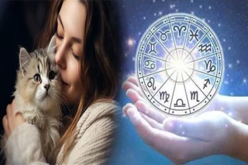 இந்த ராசியினர் பூனை வளர்த்தால் பாரிய நட்டம் ஏற்படும்... யார் யார்னு தெரியுமா?