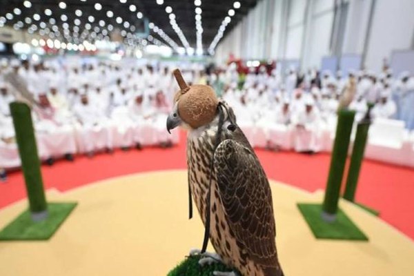 அபுதாபியில் 1 மில்லியன் டொலருக்கு ஏலம் போன அபூர்வ பருந்து! | Rare Falcon Sells 1 Million In Abu Dhabi Auction