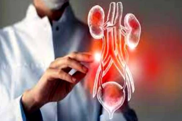 பெண்களை குறி வைத்து தாக்கும் சிறுநீர் பாதை தொற்று! இதற்கு என்ன தீர்வு தெரியுமா?