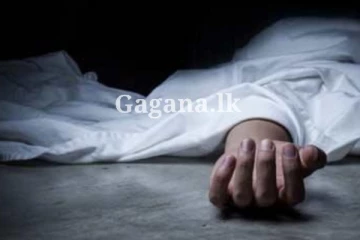 බෑවුමකින් වැටී පුද්ගලයෙක් ජිවිතක්ෂයට.