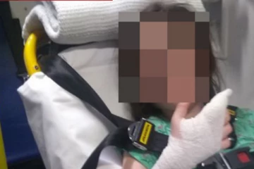 பிரித்தானியாவில் பிக்னிக் சென்ற இடத்தில் குழந்தையைத் தீண்டிய பாம்பு: பின்னர் நடந்தது...