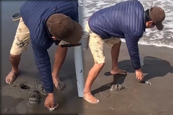 Viral Video: கஷ்டப்படாமல் இப்படி கூடவா இறால் பிடிக்கலாம்? நீங்களே பாருங்க | Best Shrimp Bait In The World