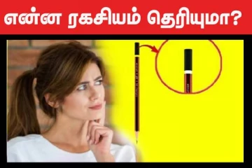 அட இது தெரியாம போச்சே..! பென்சிலுக்கு பின்னாடி கருப்பு பகுதி எதற்கு இருக்குன்னு தெரியுமா?