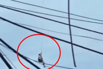 சீனாவில் இடிந்த வீட்டிலிருந்து மனிதரை காப்பாற்றிய ட்ரோன்: வைரலாகும் வீடியோ