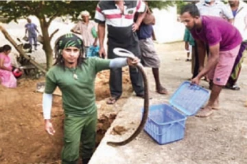 சிகிச்சை நிலையத்திற்கு அருகில் விஷப் பாம்புகள்- இலாவகமாக பிடித்து காட்டில் விட்ட இளைஞன்