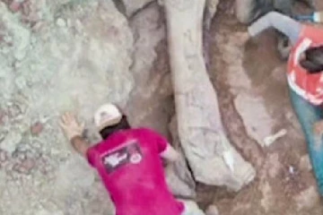 பிரேசிலில் கண்டெடுக்கப்பட்ட டைனோசரின் எச்சங்கள்