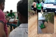 அருகம்பையில் காட்டு யானை தாக்குதல் - வெளிநாட்டுச் சுற்றுலாப் பயணி படுகாயம்