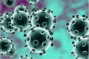 கொரோனா பாதித்தவரிடமிருந்து மற்றவருக்கு 2 மாதங்கள் வரை தொற்று பரவுமா? அதிர்ச்சியளித்த புதிய ஆய்வின் தகவல்